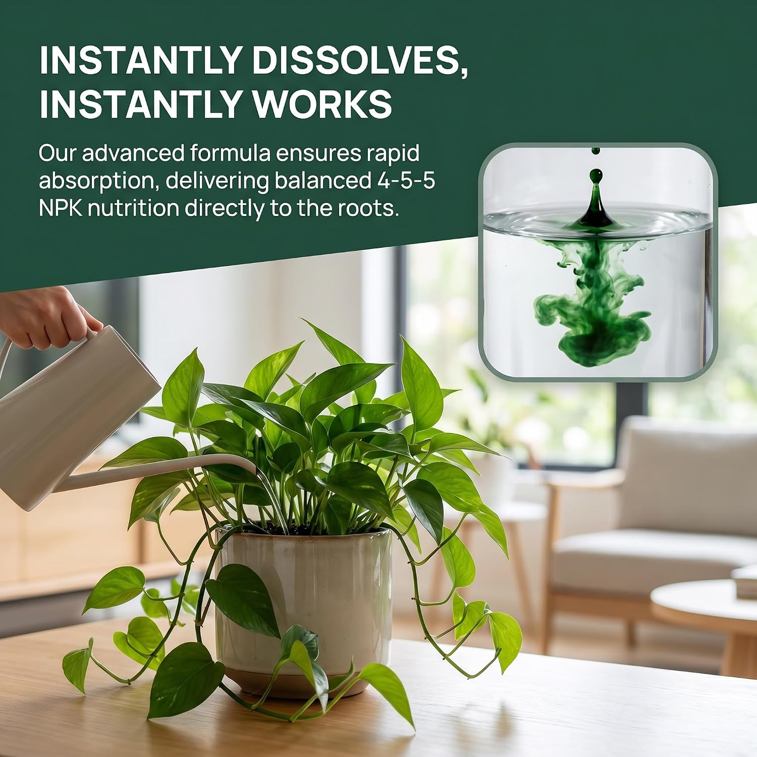Blooma Care Plant Food,Liquid Plant Food,Liquid Plant Fertilizer - for Indoor Houseplants, All-Natural, Groundwater