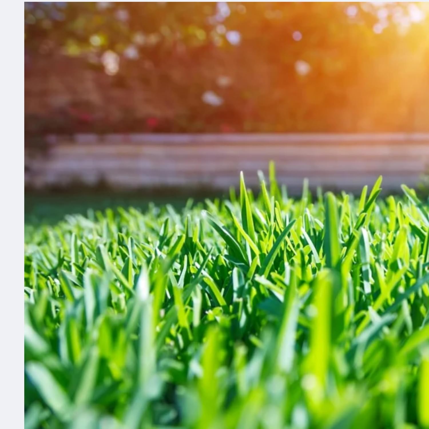 Mo Deck Lawn Mower A Nonstick Spray with Scraper Tool – Pressurized, Deters Grass & Clipping Buildup, Reduces Clumping