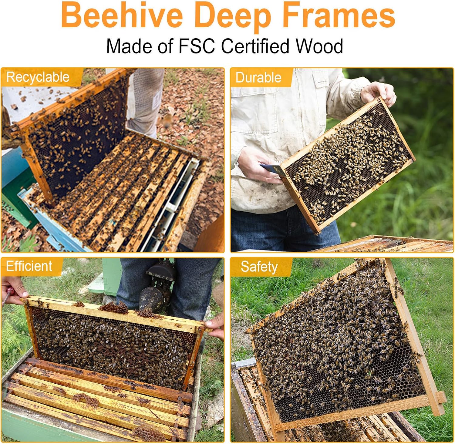 BeeCastle 10 Pack Beehive Frames and Wax Foundations for Deep Brood Bee Hives with Wooden Bee Hive Frames and 100%