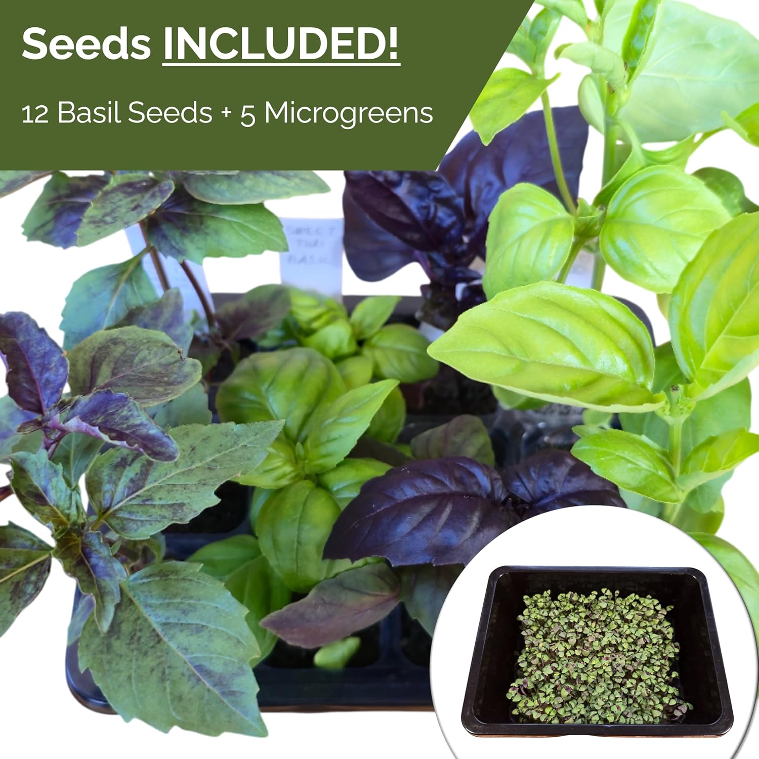 Seed Starter Kit with Humidity Dome – 12-Cell Indoor Pre-Seeded Seed Starting Tray with Basil & Microgreens – Complete