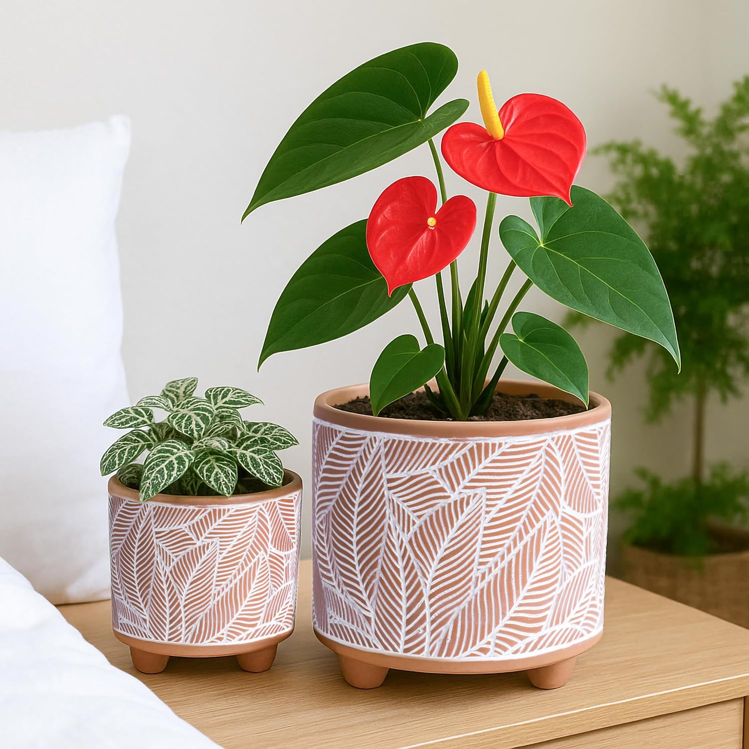 D'vine Dev 2-Pack Terracotta Pots, 4/6 in, Sahara Fern, 31-953-H-1 | Hand-Painted Details, Three-Legged Design, Natural