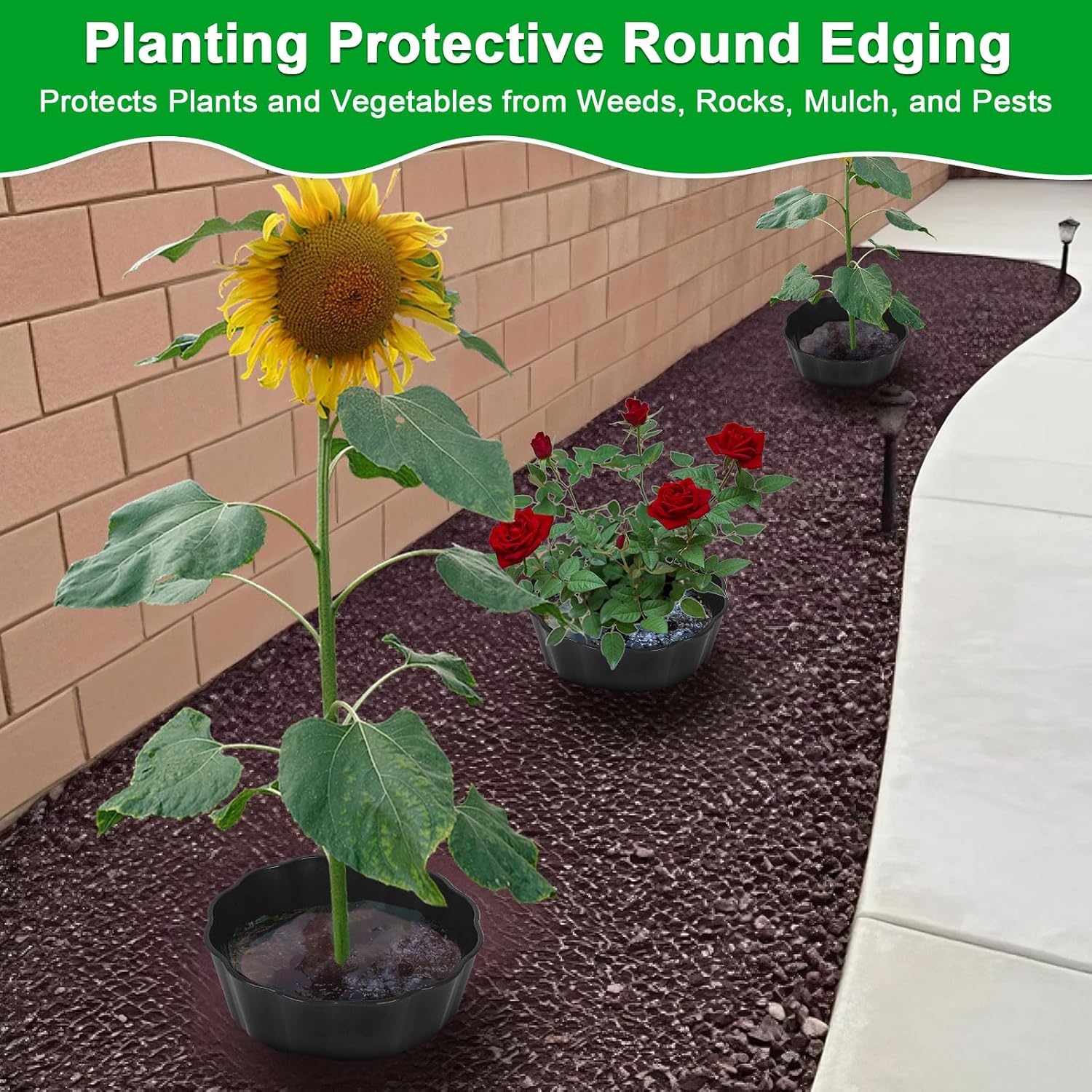 3 Pack of 12 Inch Planting Grow Rings, Planting Protective Round Garden Edging, Keeping Plants Separated, Weed Control