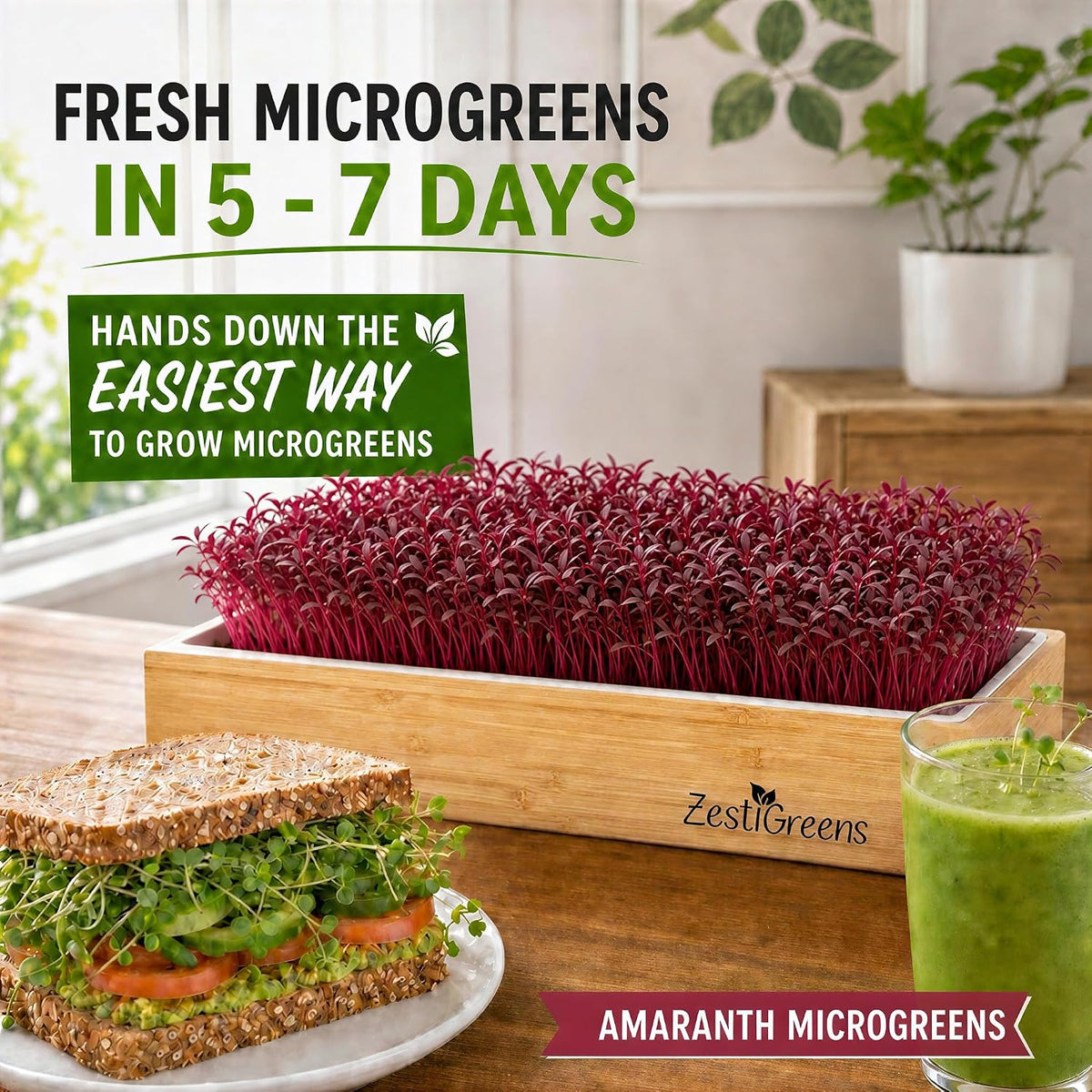 Microgreens Growing Kit - Self-Watering Bamboo Grow Tray | Includes tray, seeds, mats and bamboo surround for easy