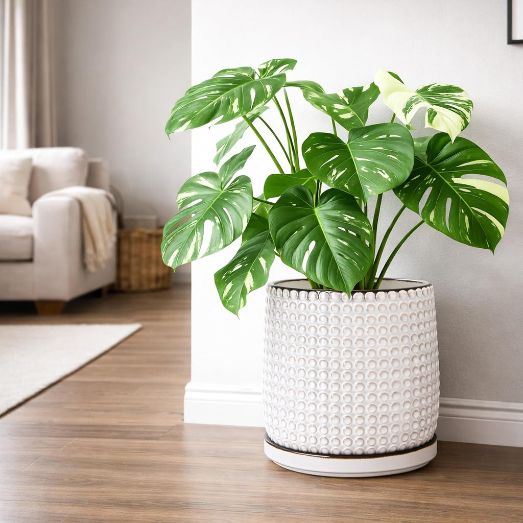 D'vine Dev Beaded Ceramic Pot with Saucer, 10 in, Smoked White, 27-C-P-1 | Embossed Dot Texture, Smooth Glazed Finish