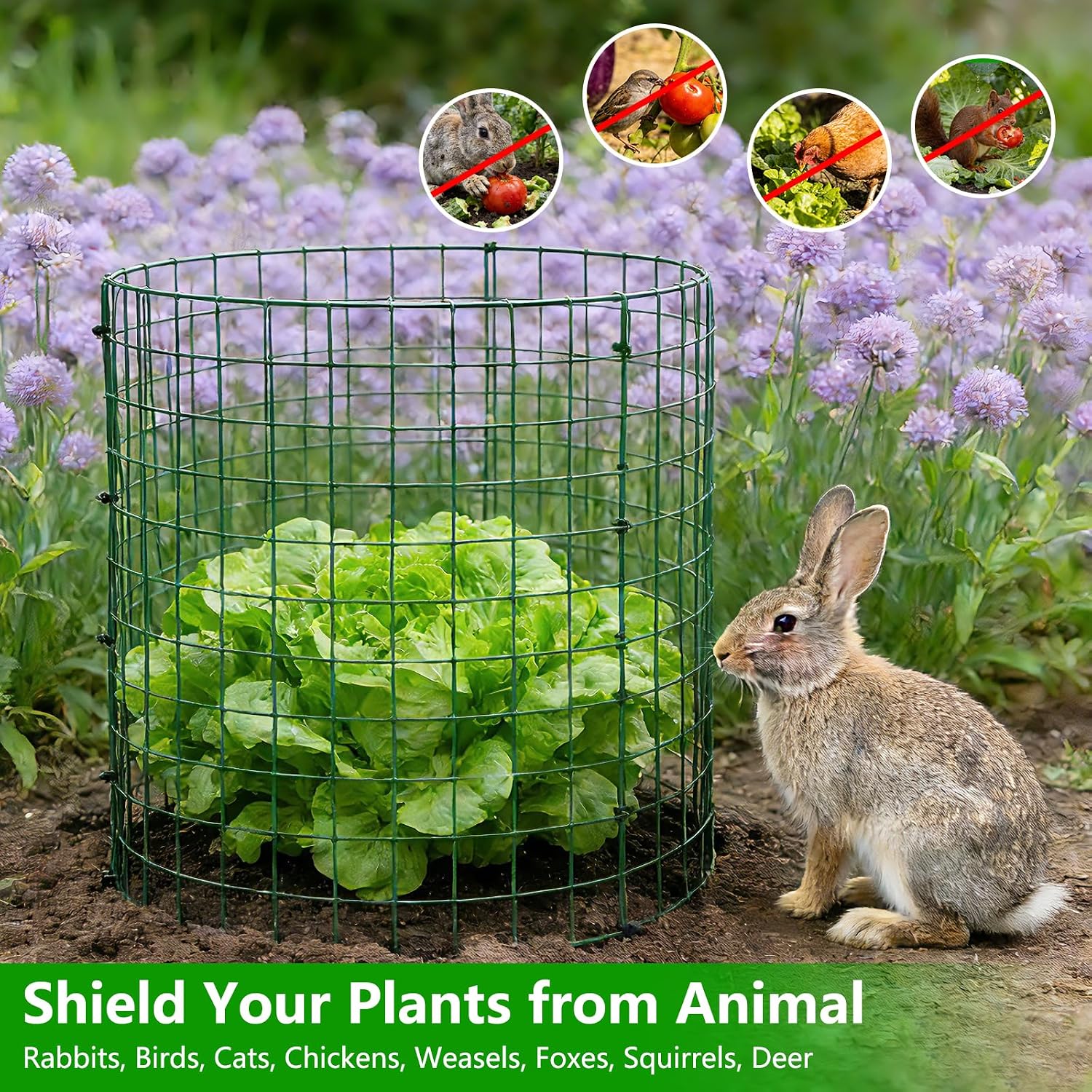 8 Pack Plant Protectors from Animals, 12x16 Inch Metal Garden Cages | Stakes & Zip Ties Included Plant Protection