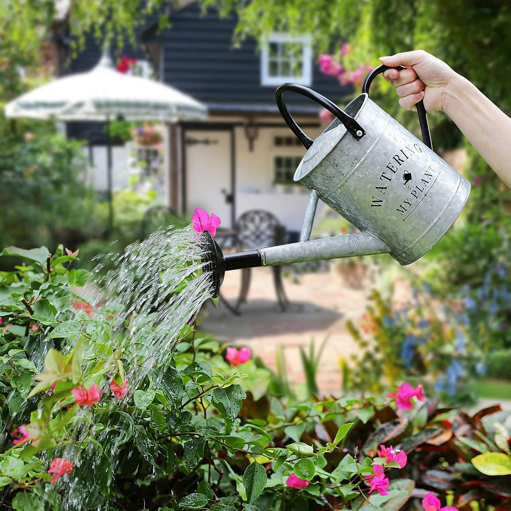 Garutom Galvanized Watering Can for Outdoor Indoor Plants, 1 Gallon Decorative Countryside Style Water Can with