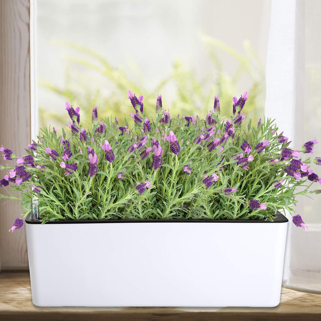 Fasmov 2 Pack Rectangle Self Watering Planter with Water Level Indicator, 16x 5.5 Inch Window Gardening Box, Decorative