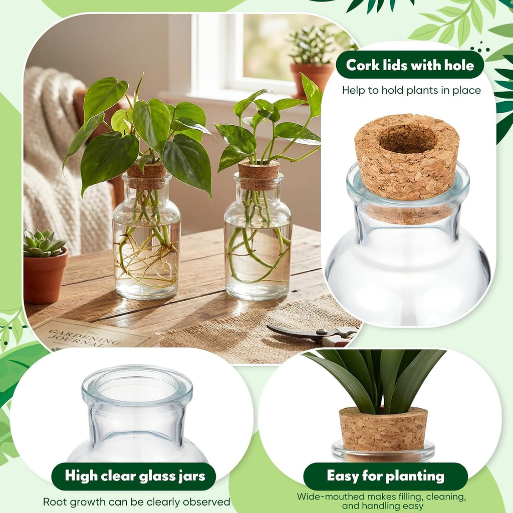 12 Pack Glass Plant Propagation Stations, Cylindrical | Hydroponic Vases, Tabletop Planter, Plant Terrarium Jar for