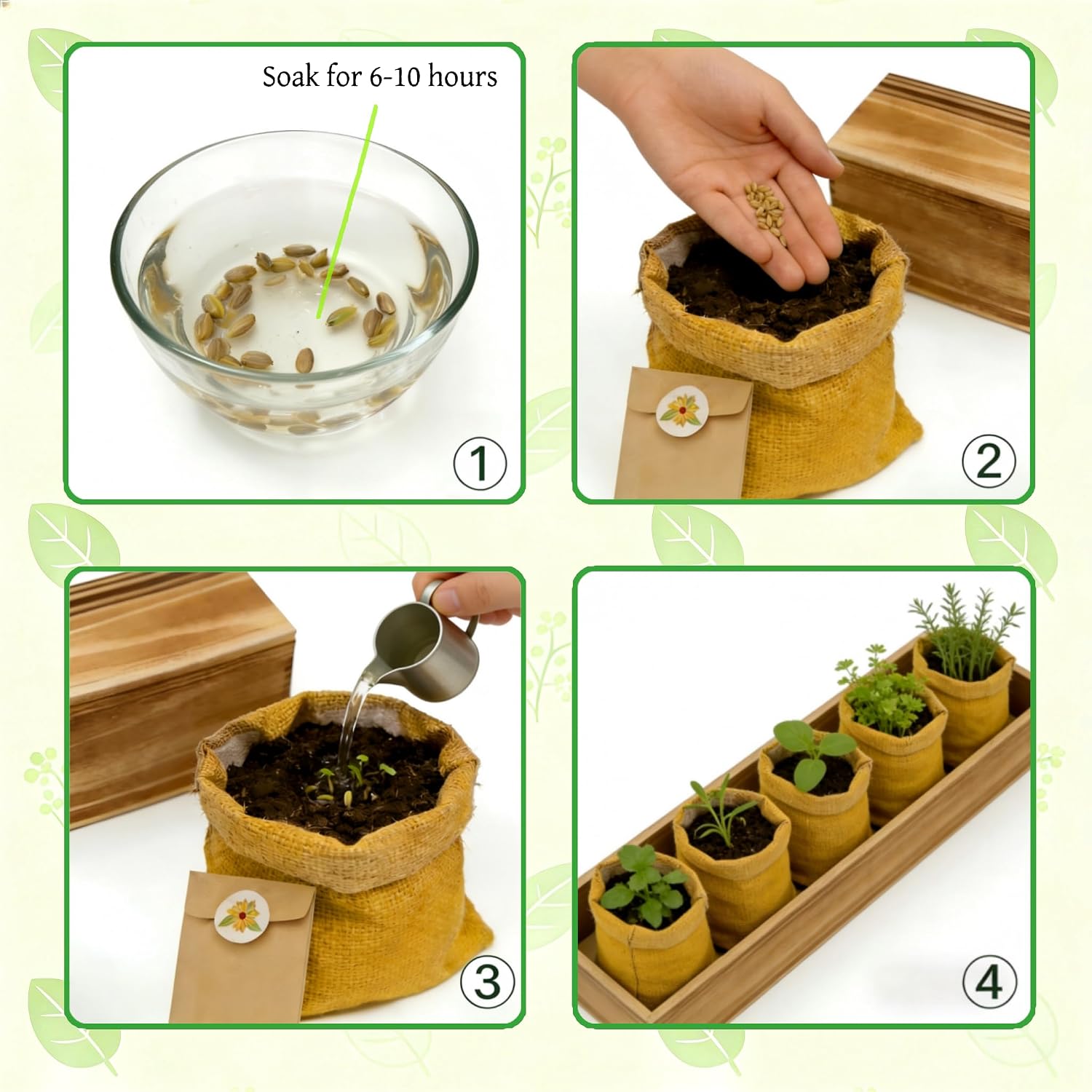 5 Herb Garden Kit with Wooden Box – Basil, Thyme, Parsley, Rosemary, Mint – Windowsill Herb Garden for Kitchen –