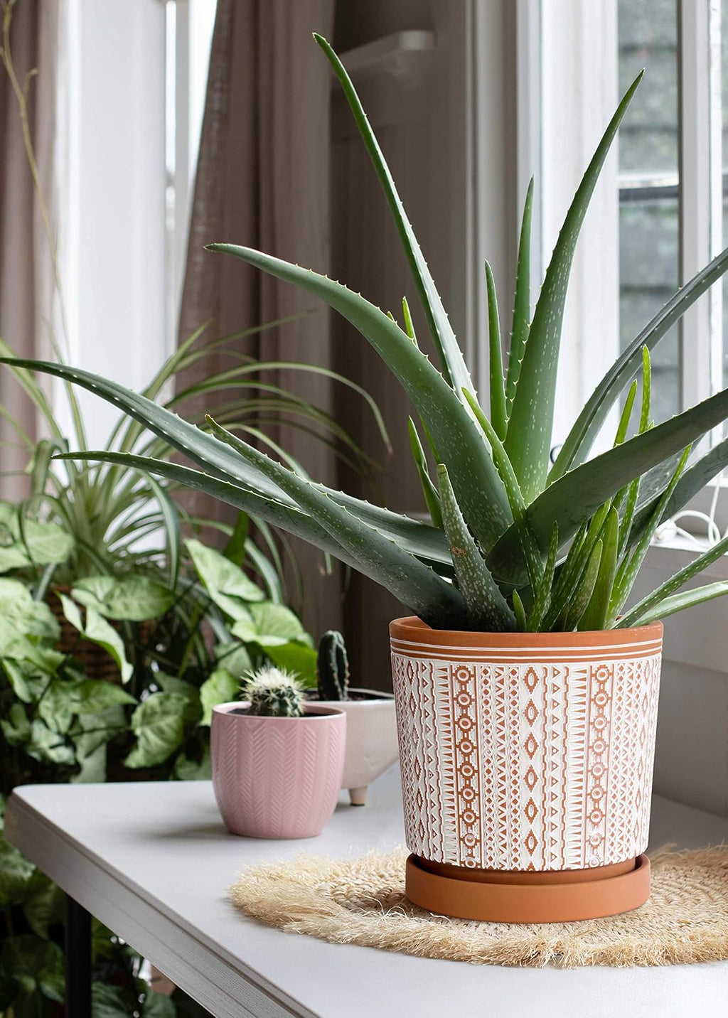 D'vine Dev Set of 2 Terracotta Pots, 6.5 Inch & 8.2 Inch, Planter Pots for Plants with Drainage Holes and Saucers