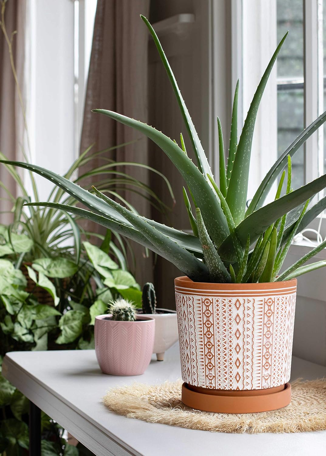 D'vine Dev Set of 2 Terracotta Pots, 6.5 Inch & 8.2 Inch, Planter Pots for Plants with Drainage Holes and Saucers