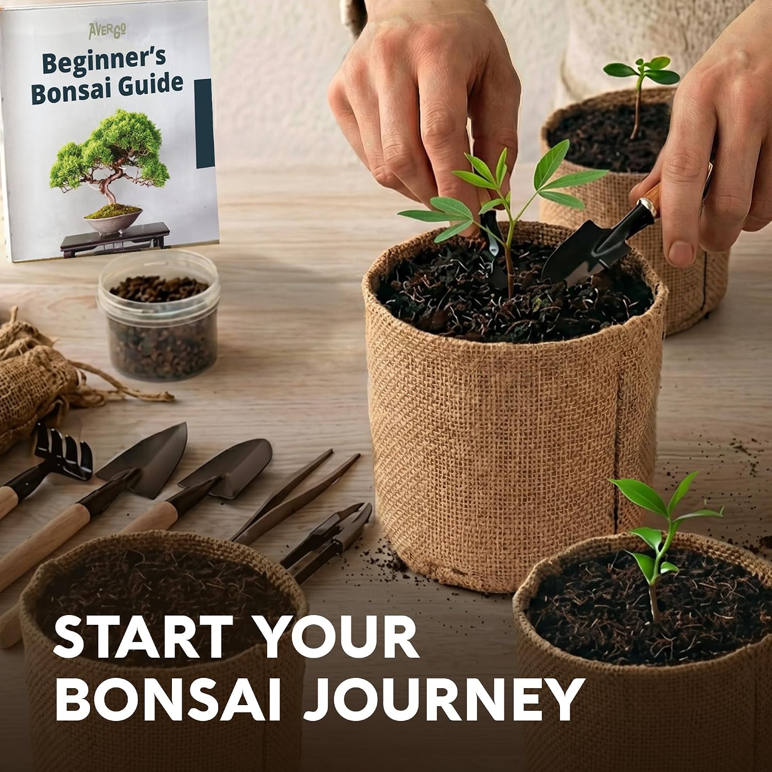 Bonsai Tree Kit Deluxe - Growing 5 Unique Japanese Bonzai Trees | Complete Indoor Bonsai Starter Kits for Growing Trees