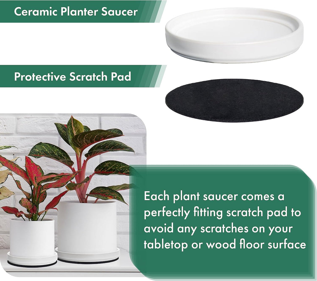 D'vine Dev Ceramic Plant Saucer/Drainage Tray, 8.7 in, White, 97-T-A-4 | Glazed Ceramic, High Temperature Fired