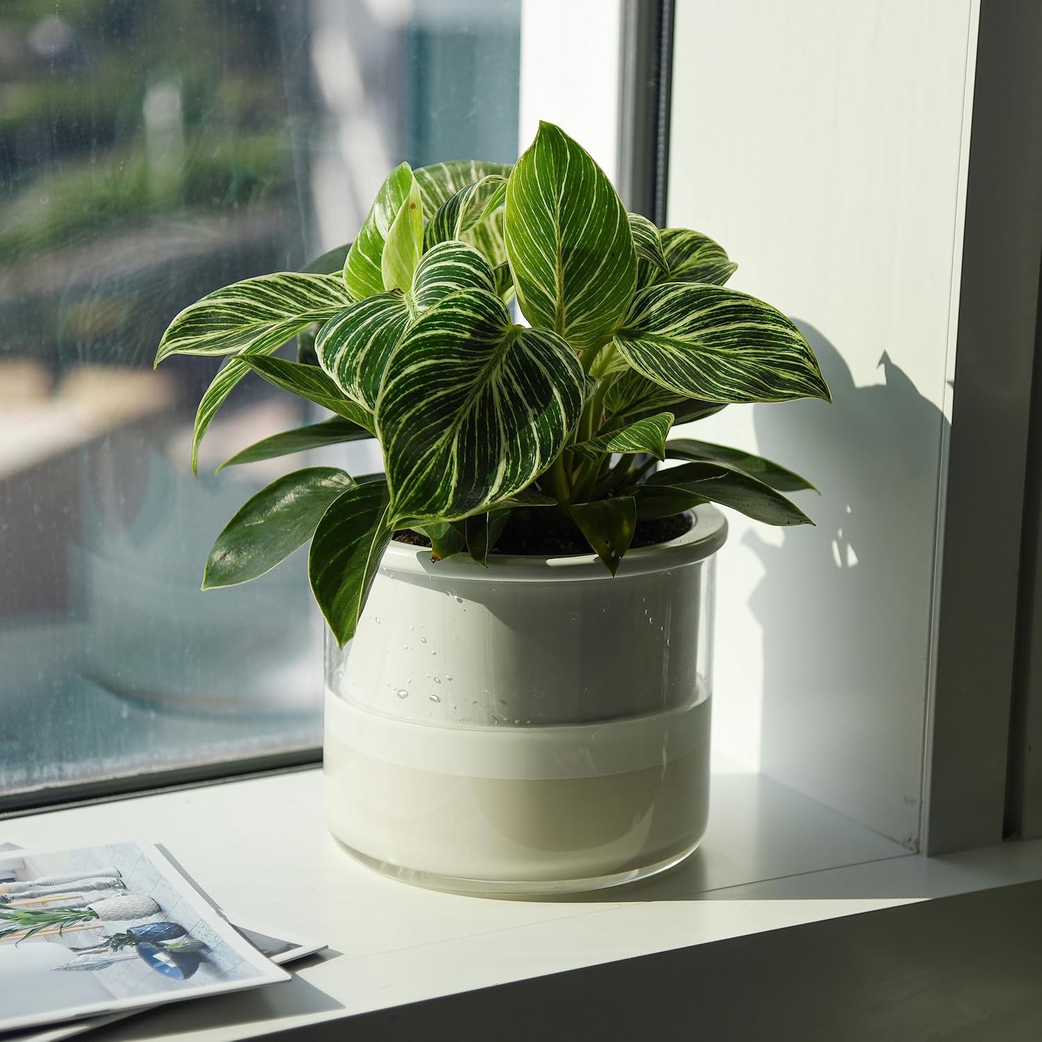 Phoenix Vine 6 Inch Self Watering Planter, Design White Terracotta Pot for Plants, Indoor Cylinder Terra Cotta Pot with