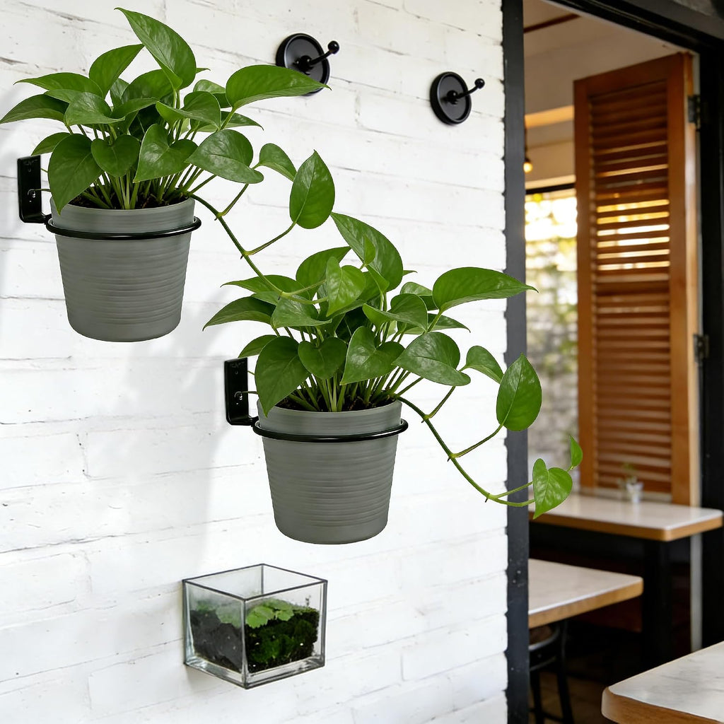 6 Pack 8 Inch Plant Pot Holder Ring,Metal Plant Holder Brackets Rings with 12 Screws & 12 Bolts, Potted Planter