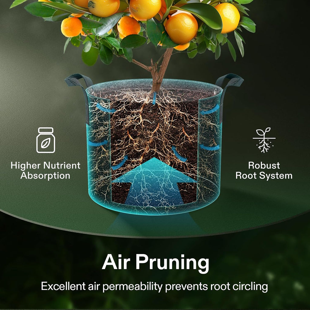VIVOSUN 10-Pack 3 Gallon Grow Bags, 500G Thick Nonwoven Fabric Pots with Strap Handles, Multi-Purpose Rings, for Low