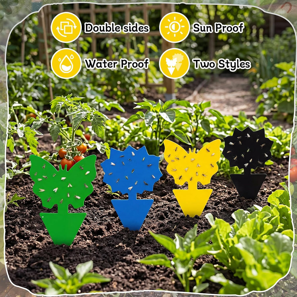 400 Pack Fruit Fly Traps Fungus Gnat Sticky Traps Colorful Plant Fly Stickers for Indoor Outdoor Kitchen Garden