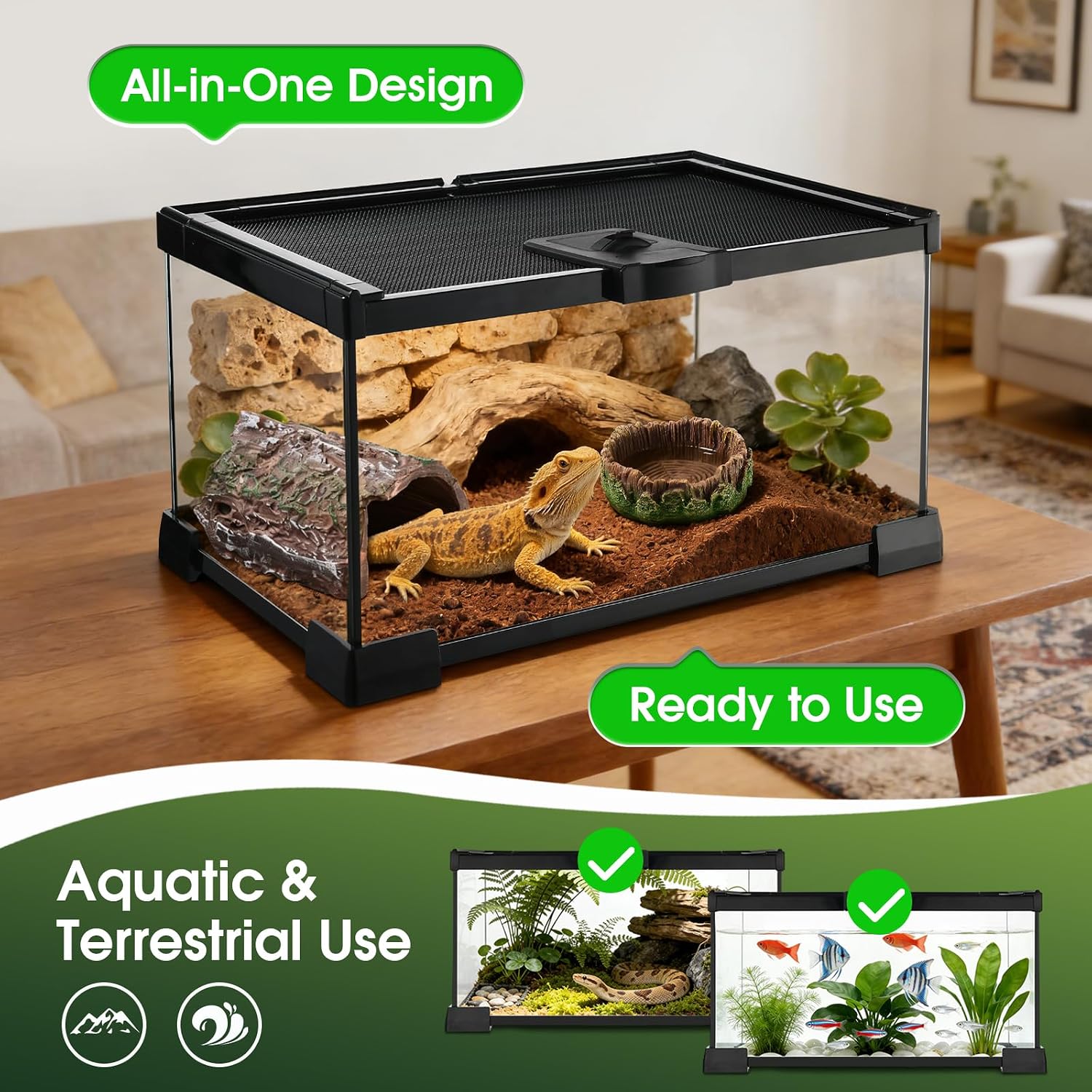 Reptile Terrarium Glass Kit 12" x 8" x 6" Starter Habitat for Tarantula, Succulents, Frogs, or Hermit Crabs, Tank with