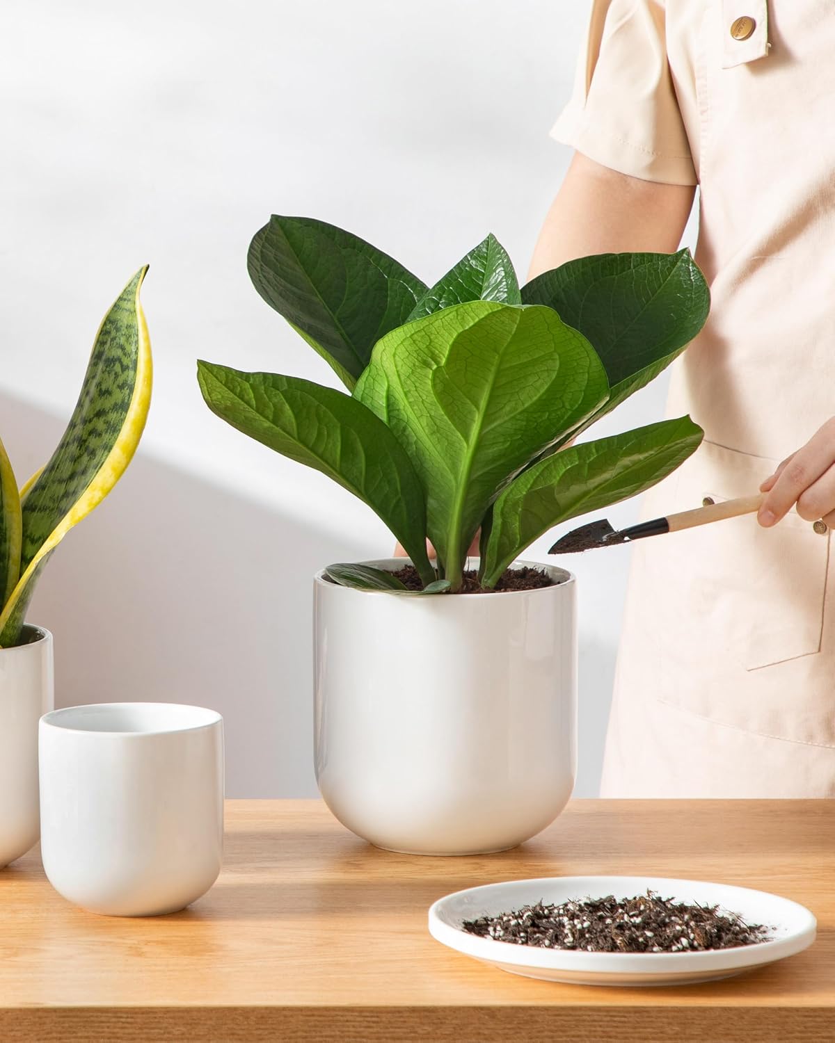 vancasso Ceramic Plant Pots, 4+5+6 inches, Set of 3, Planters with Drainage Hole, Flower Pots Planters Pots for Indoor