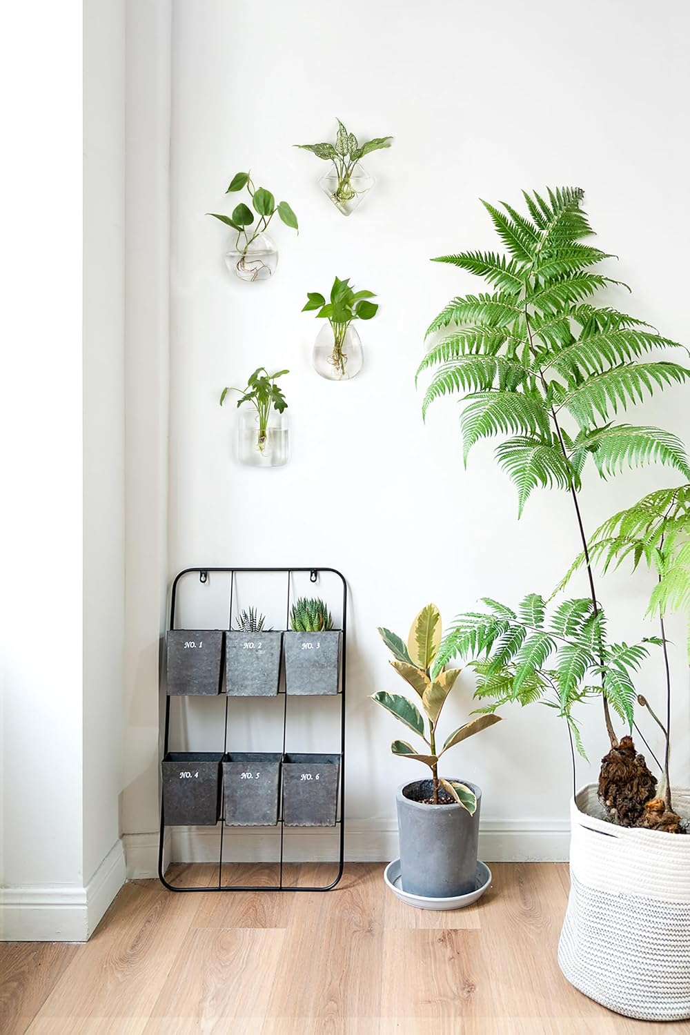 Mkono Wall Propagation Planters, 4 Pack Glass Hanging Vase Plant Holder | Varied Shapes Terrarium,Clear Root View