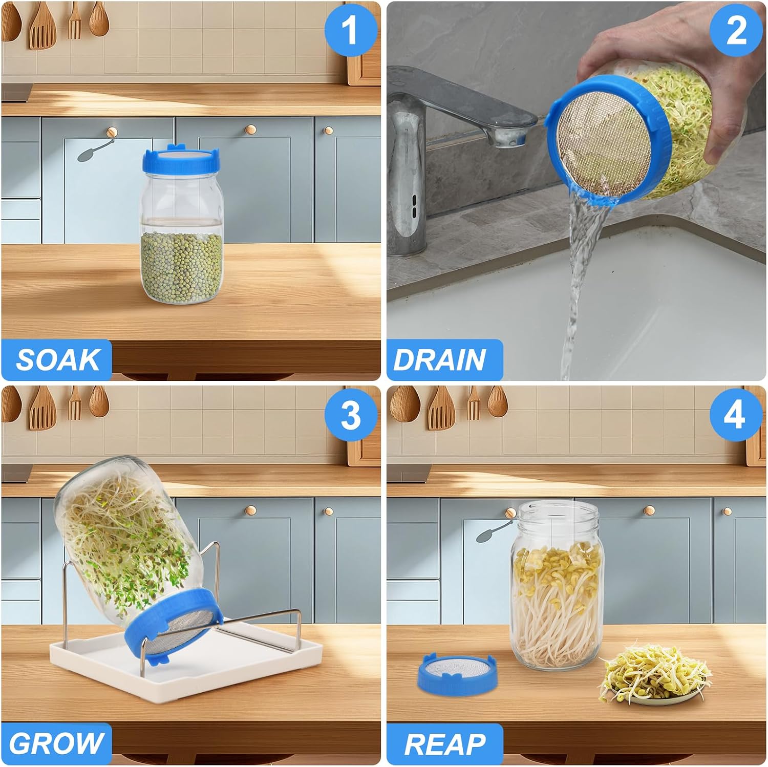 Lulonpon Sprouting Kit, 4 Sprouting Jar Kits, Wide Mouth Quart Mason Jars with Stainless Steel Screen Sprout