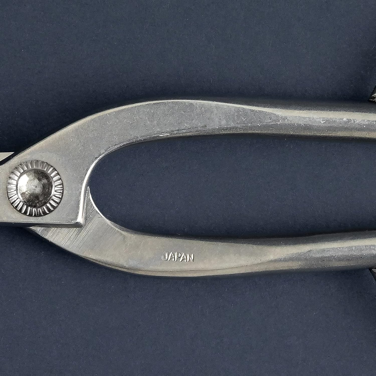 Wazakura Yasugi Stainless Steel Made in Japan Ashinaga Bonsai Scissors 8" (200 mm), Pruning Shears, Japanese Gardening