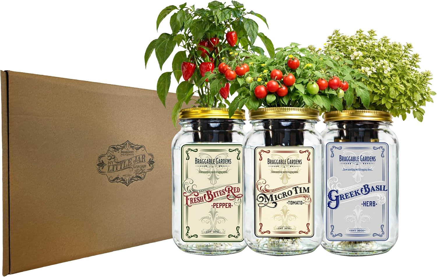 Italian Pizza Garden Mason Jar Kit (3 Pack) – Tiny Tim Tomato, Greek Basil & Mini Red Bell Pepper – Indoor Hydroponic