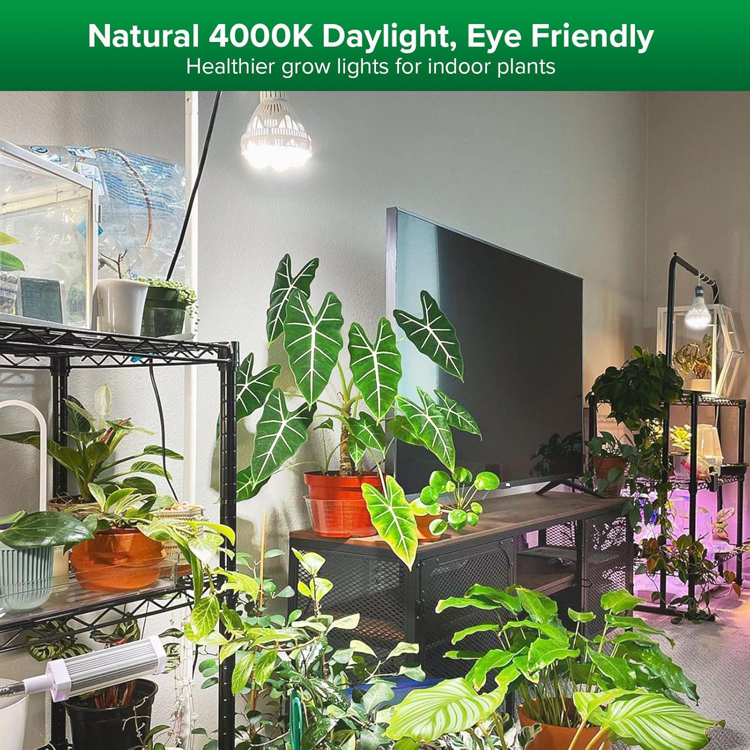 SANSI Grow Lights for Indoor Plants, 36W Plant Lights for Indoor Growing | 400 Watt Equivalent BR30 Grow Light Bulb