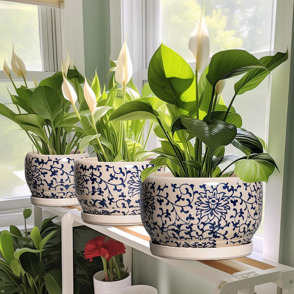 SQOWL Ceramic Planters for Indoor Plants - 8 inch Plant Pot with Drainage Hole and Saucer, Decorative Flower Pot