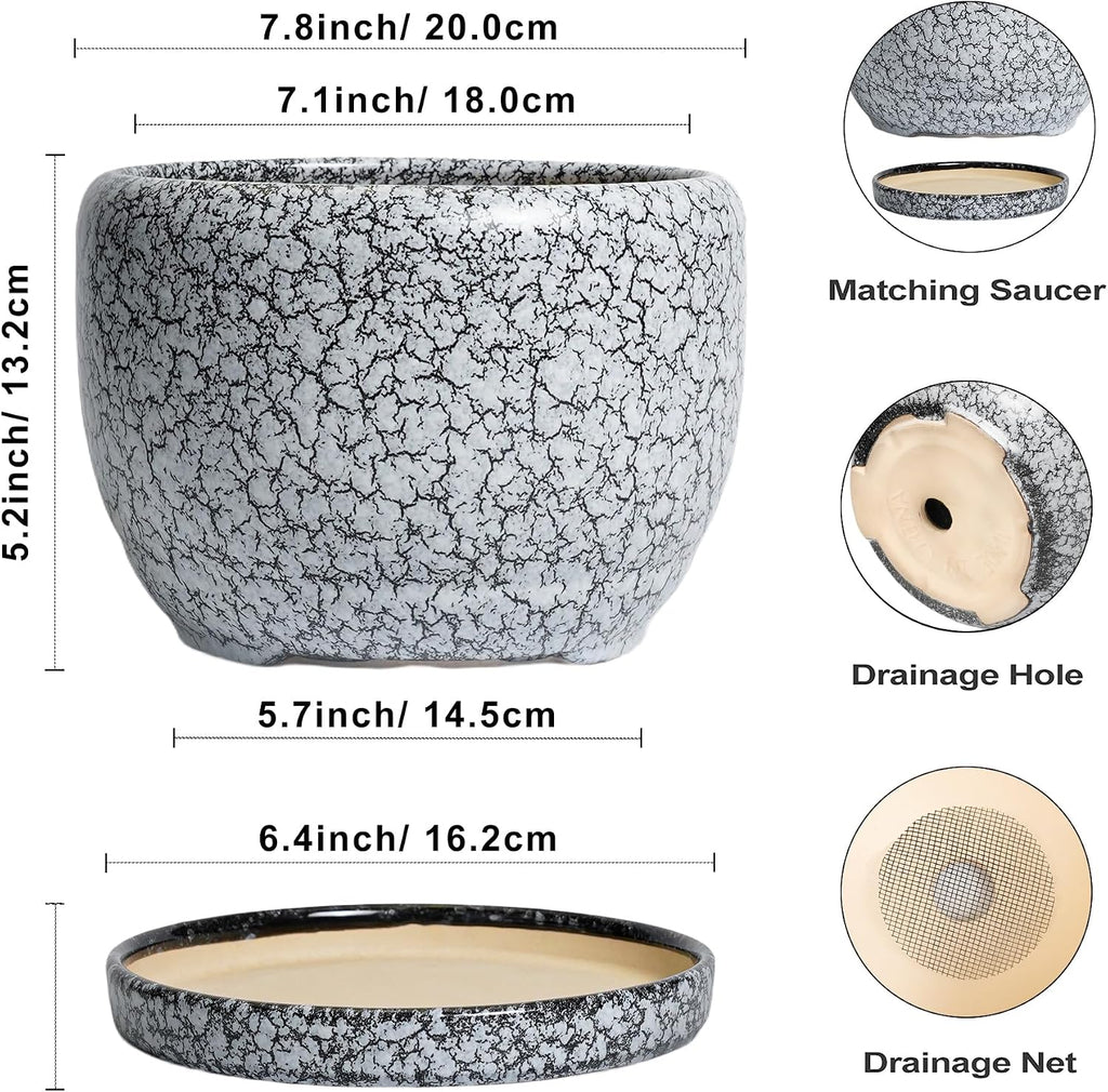 SQOWL 8 inch Plant Pot - Ceramic Planter with Drainage Hole and Saucer, Round Flower Pot for Indoor Plants, Decorative