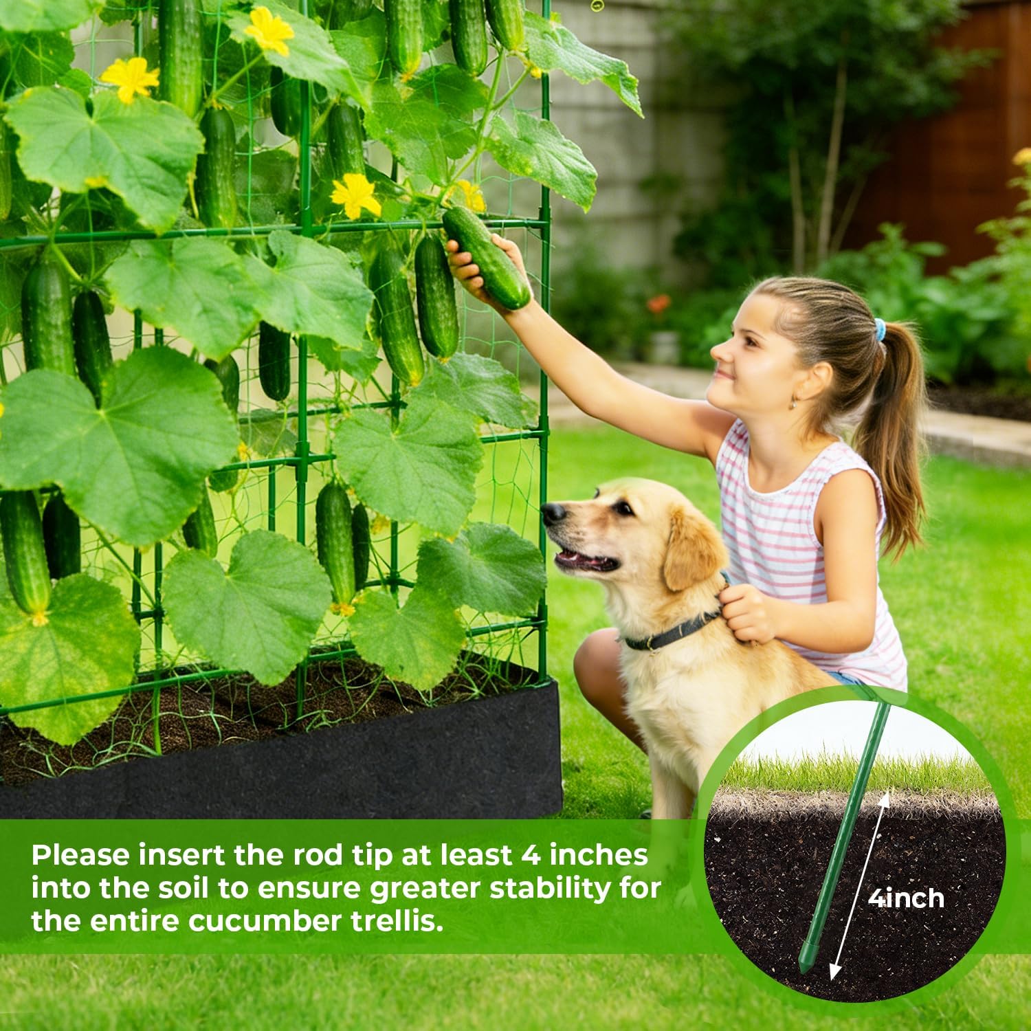 Large Cucumber Trellis for Climbing Plants Outdoor with Grow Bag,67" Tall Metal U-Frame Plant Trellis for Cucumber with
