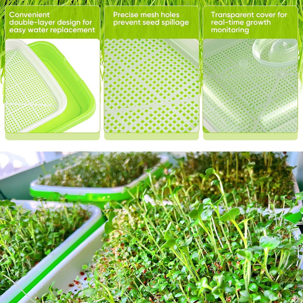 12 Pack Green Seed Sprouter Trays with Lid, Soil-Free Cultivation Germination Tray, Fodder Sprouting Trays Nursery Tray