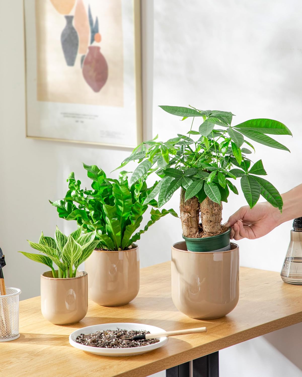 vancasso Ceramic Plant Pots, 4+5+6 inches, Set of 3, Planters with Drainage Hole, Flower Pots Planters Pots for Indoor