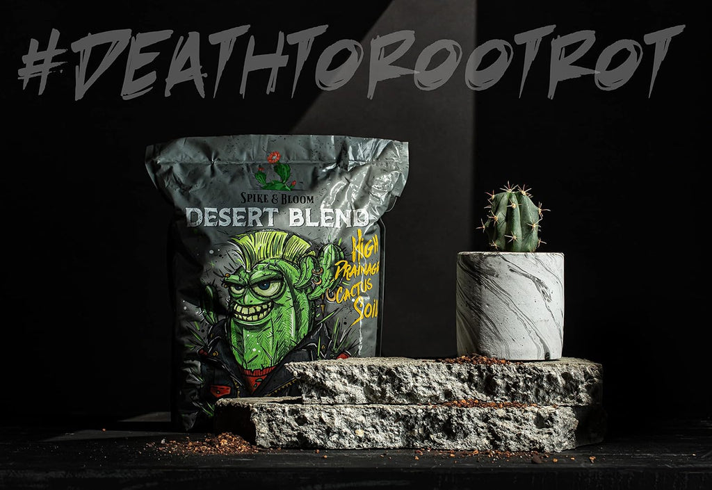 High Drainage Cactus Soil Potting Mix with Mycorrhizal Fungi - 8 Pounds / 4 Quarts of Soil for Succulents and Cactus