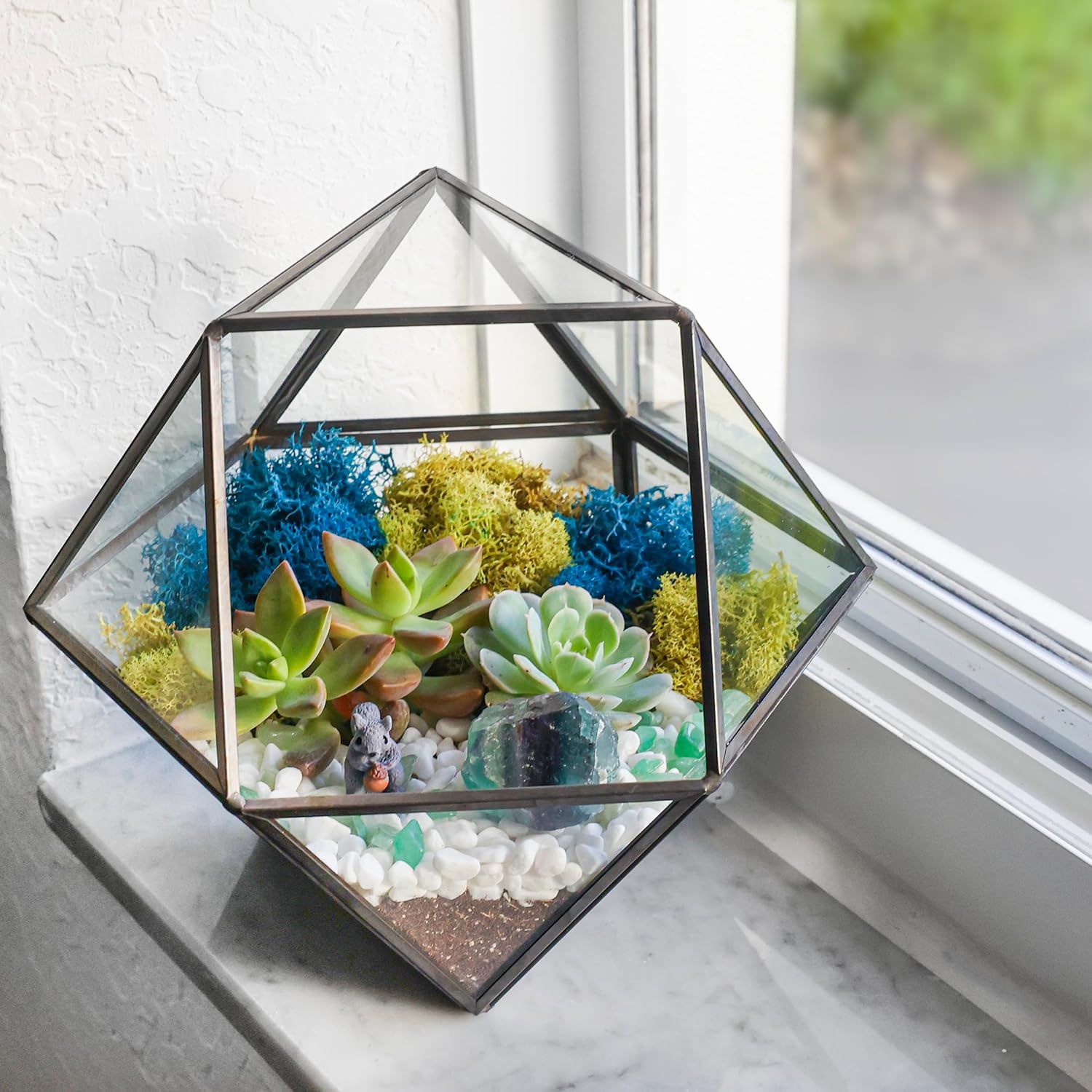 Creations by Nathalie DIY 7" Chalice Glass Terrarium Kit with Moss & Tools | DIY geometric glass terrarium kit with