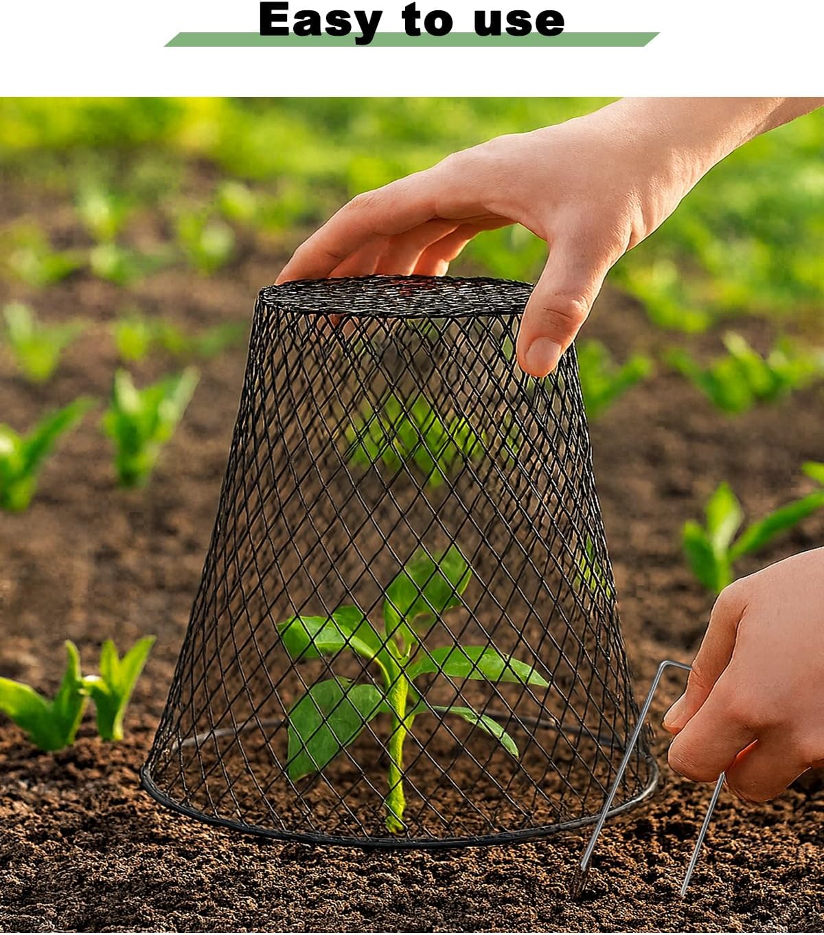 12 Pcs Chicken Wire Cloche Plant Covers, 9 Inch Metal Plant Protectors | Heavy-duty garden netting helps protect plants