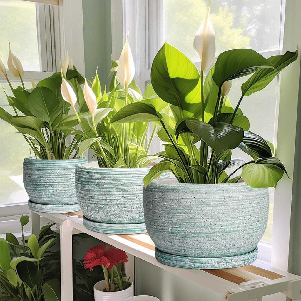 SQOWL Ceramic Pots for Plants - 10 Inch Ceramic Planter for Indoor Outdoor, Modern Round Flower Pot with Drainage Hole