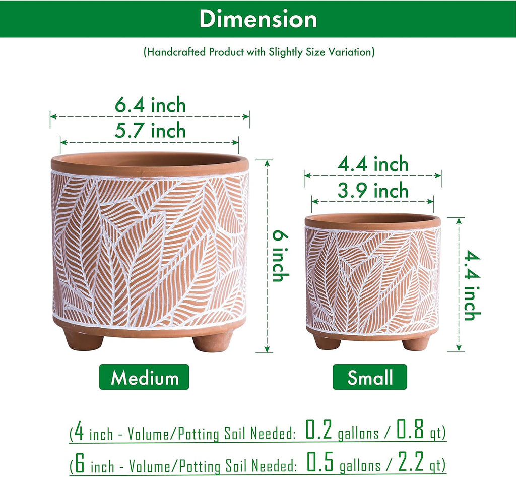 D'vine Dev 2-Pack Terracotta Pots, 4/6 in, Sahara Fern, 31-953-H-1 | Hand-Painted Details, Three-Legged Design, Natural
