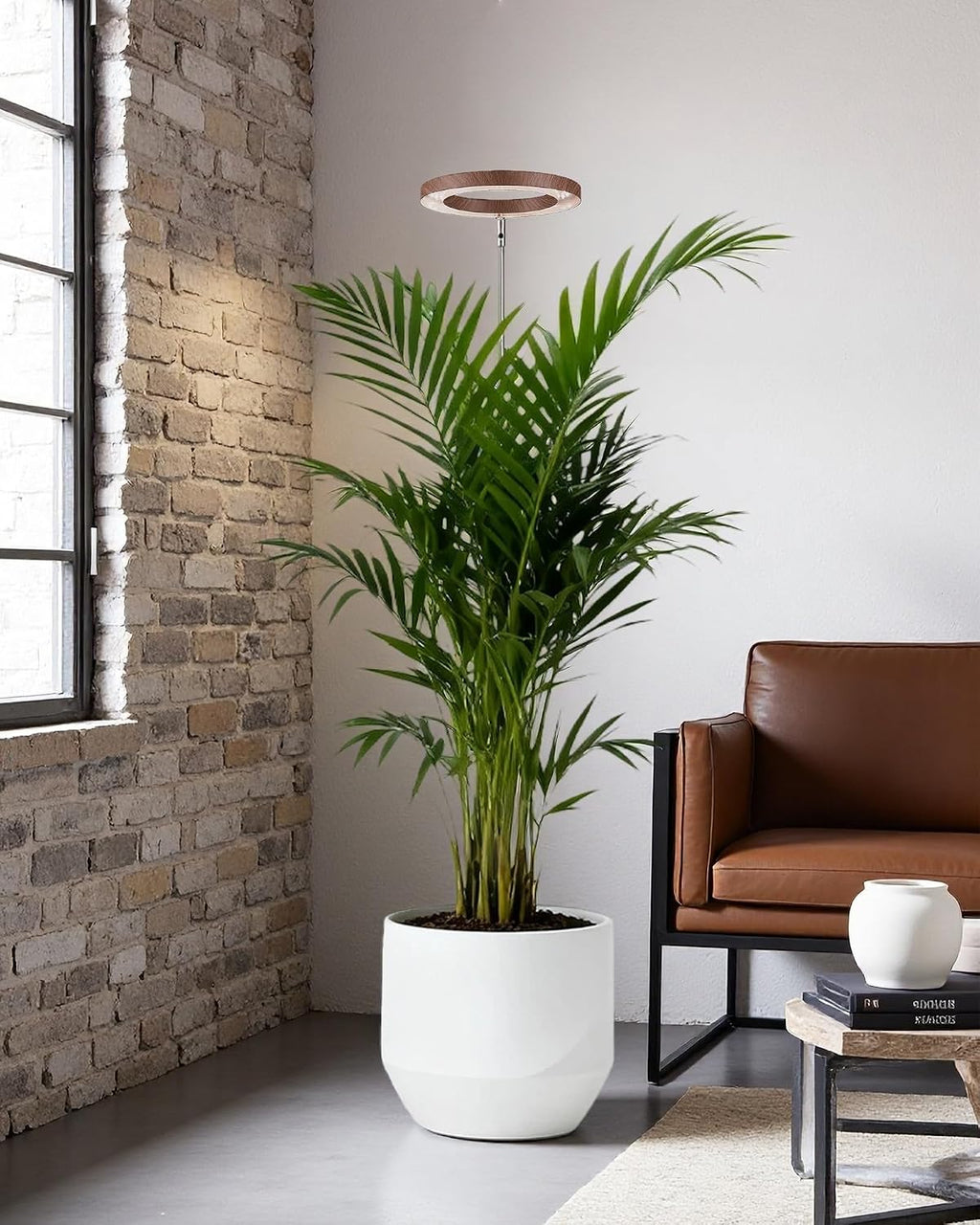 Plant Grow Light, LED Growing Light Full Spectrum for Indoor Plants,Aluminum Walnut Wood Grain Plant Lights,Height