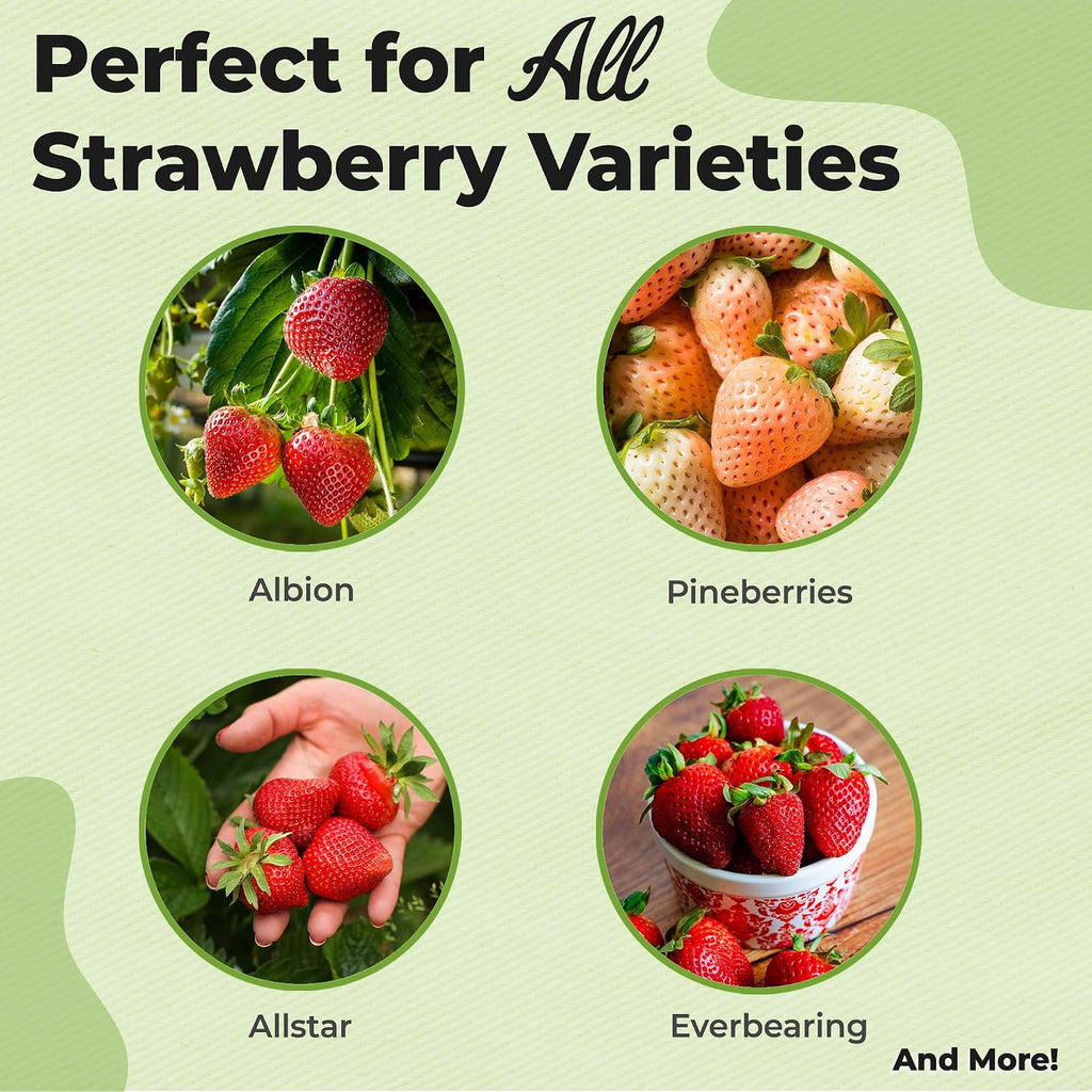 Perfect Plants Organic Strawberry Potting Soil, 8 qt, Fruit Plant Mix | Acidic blend of pine bark, granite sand and
