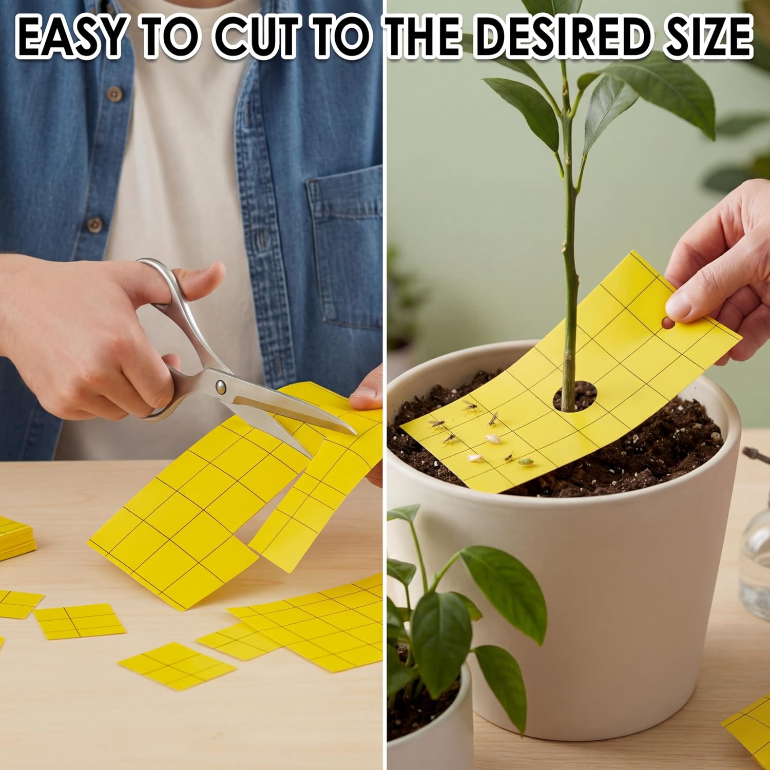 Qualirey 200 Sticky Trap for Gnats 3 x 5'' Dual Side Sticky Fruit Fly Trap with Tie Plant for Flying Insect Fungus Bugs