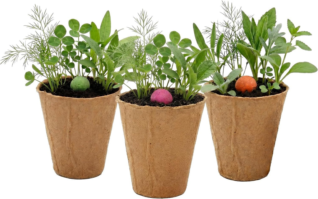 BUZZY Seeds Wildflower Seed Ball Cup 6-Pack – Over 50 Seeds Per Ball, Colorful Decorative Seed Balls in Biodegradable