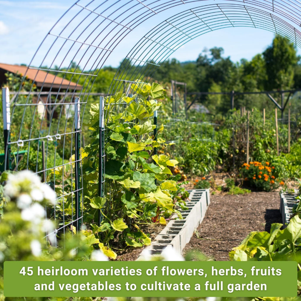 Sow Right Seeds - Complete Garden Seed Collection for Planting at Home | Includes vegetables, herbs, and flowers. Plant