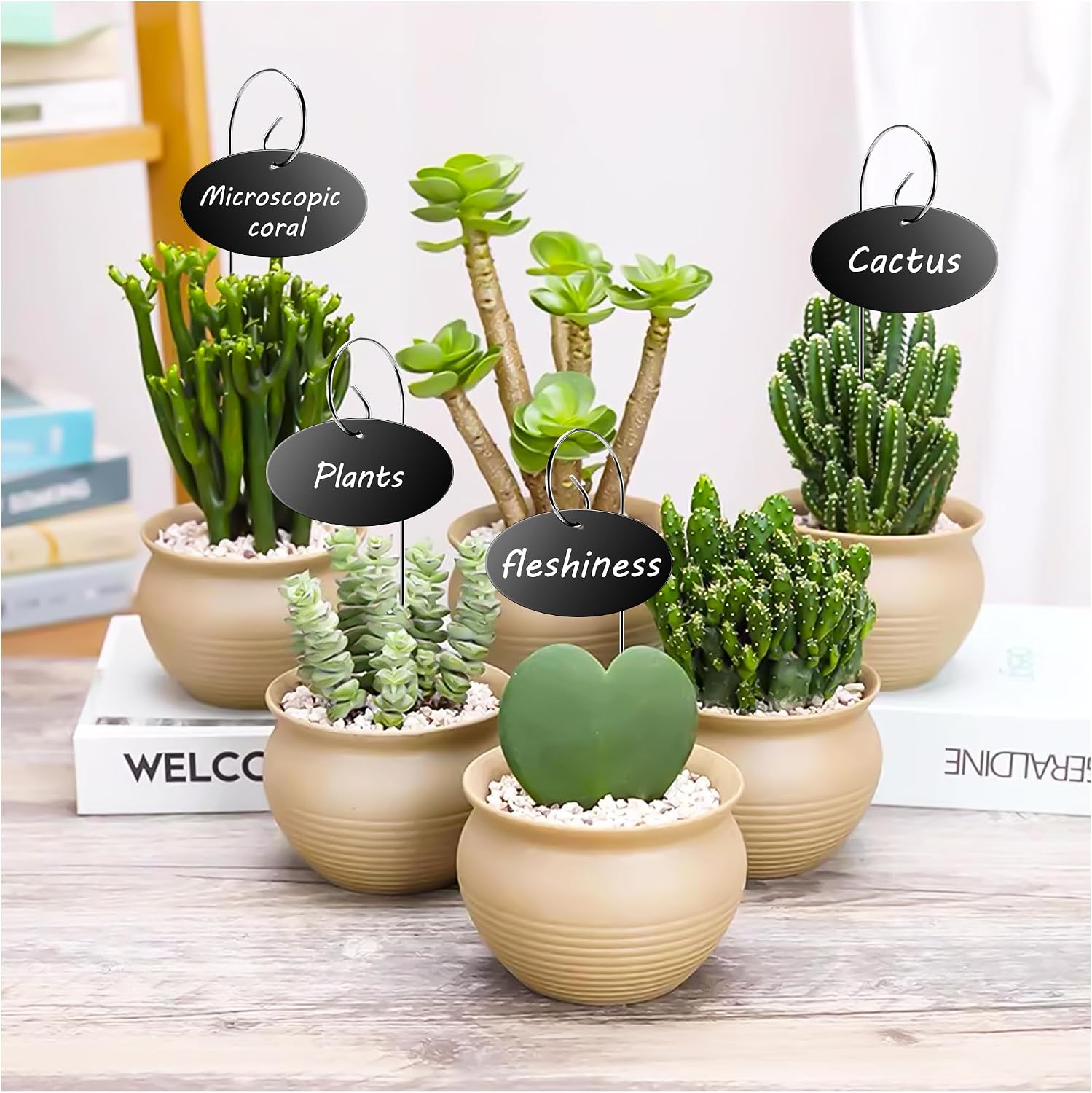 Vcekract 50 Pack Acrylic Plant Labels Stakes with Pen for Garden Plants | Waterproof reusable acrylic plant markers