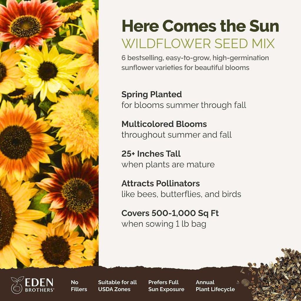 Eden Brothers Here Comes the Sun Flower Mixed Seeds for Planting, 1 lb, 480,000+ Seeds with Autumn Beauty, Lemon Queen