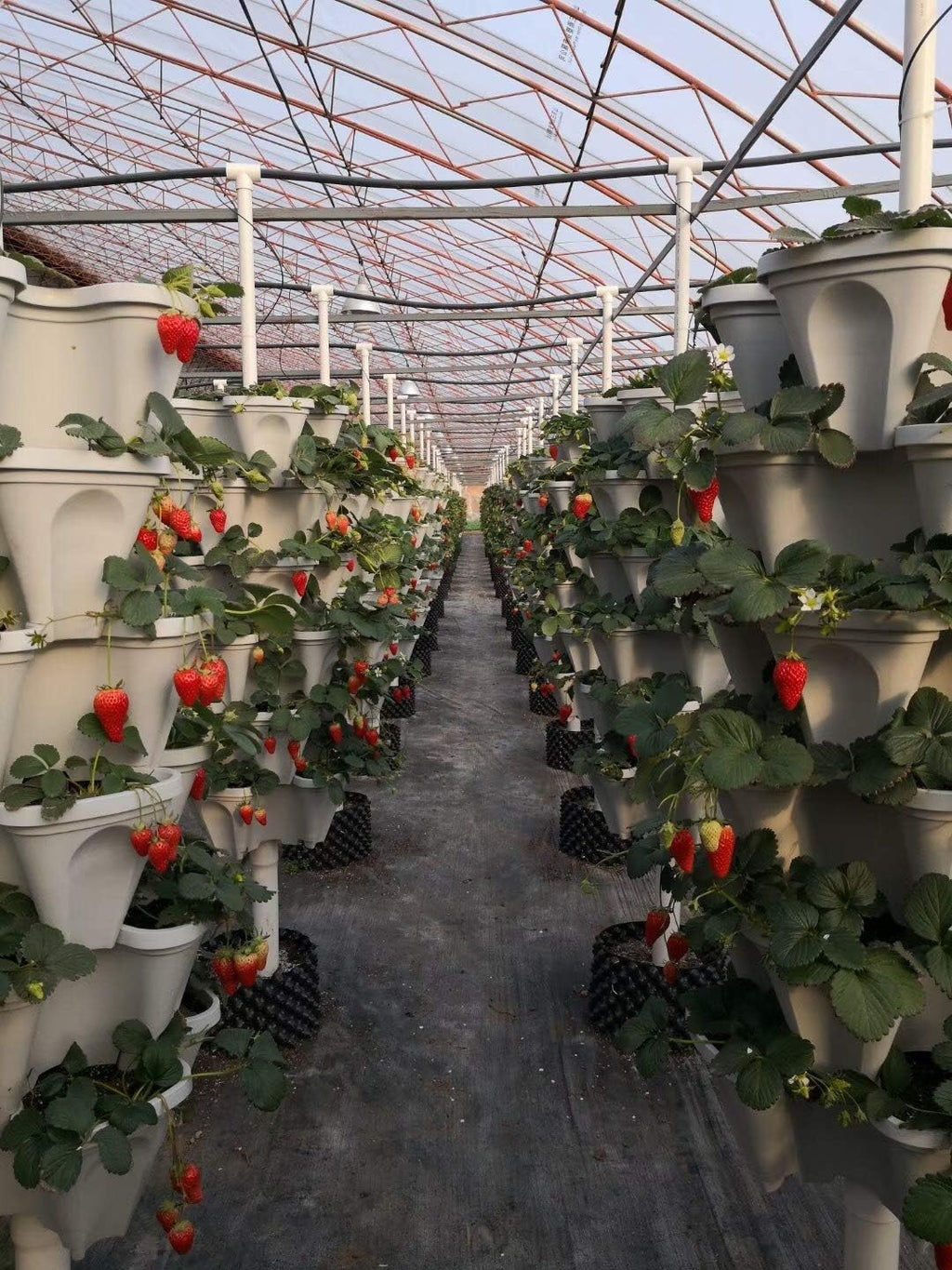 Mr. Stacky 18 inch Large Stackable Planters (Terra-Cotta) Out Door Garden. Vertical Planter. Made USA. Easy to Set up