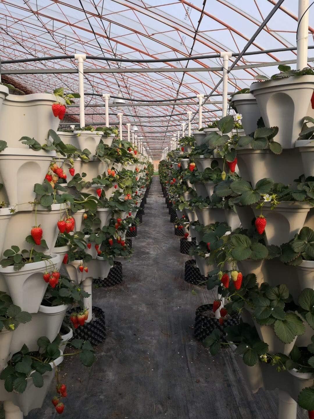 Mr. Stacky 18 inch Large Stackable Planters (Terra-Cotta) Out Door Garden. Vertical Planter. Made USA. Easy to Set up