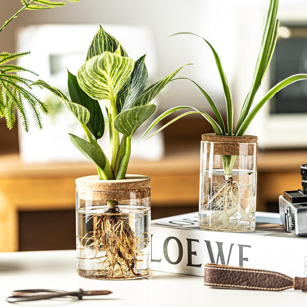 Glass Propagation Stations for Plants -Desktop Flower Vases,Propagation Flower Vases Set – 2 Large & 2 Small for Plant