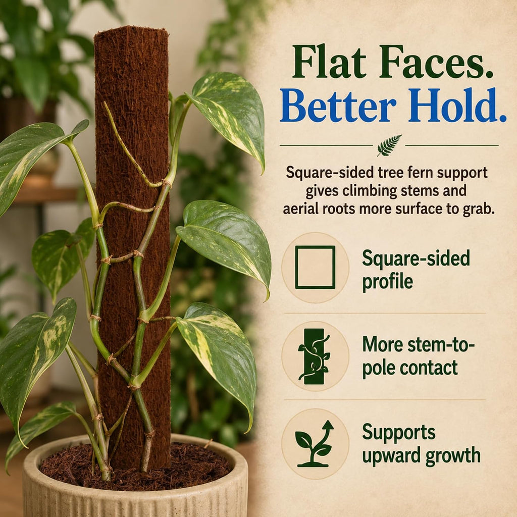 Fernwood Tree Fern Totem Pole Climbing Plant Support - 2 Pack – 19.7x2x2 | For Orchids, Aroids, and Other Climbing