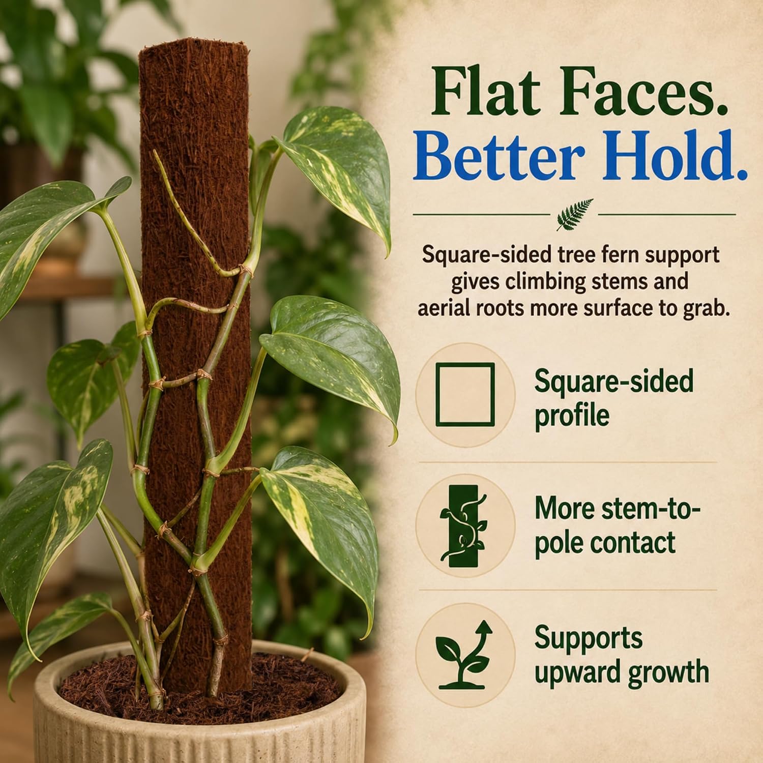 Fernwood Tree Fern Totem Pole Climbing Plant Support - 2 Pack – 19.7x2x2 | For Orchids, Aroids, and Other Climbing